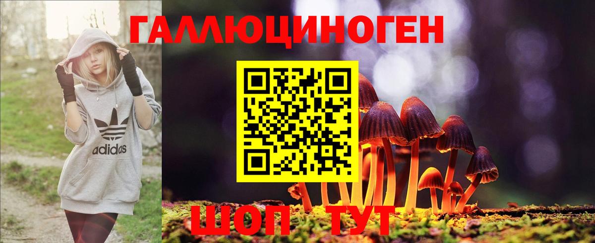 Псилоцибиновые грибы мухоморы Можга