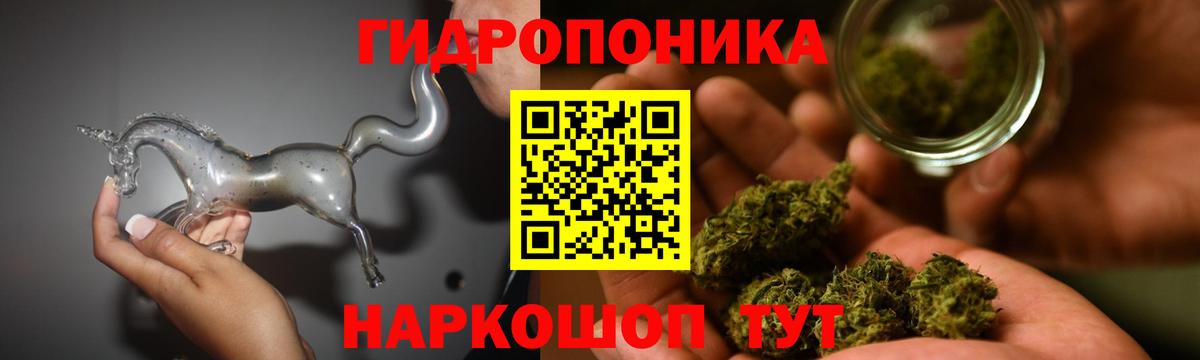 Бошки Шишки план Можга